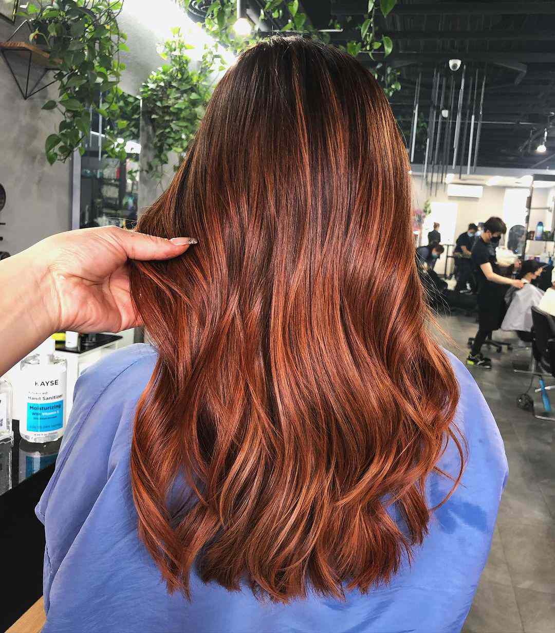 reddish brown highlights